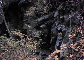 �Z�A�˂̒����̑p�K�̐ՁH�H�H