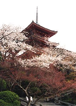 �������O�d��