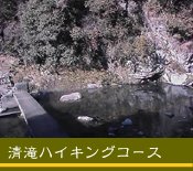 �n�C�L���O�R�[�X