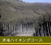 �n�C�L���O�R�[�X