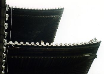 ��T���O��