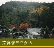 ��T���O��