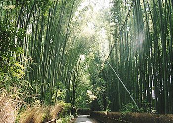 ���R�_��