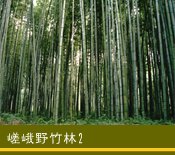 �����|��2