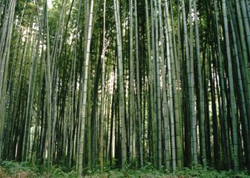 �����|��2