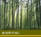 �����|��3