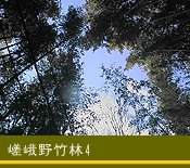 �����|��4