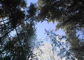 �����|��