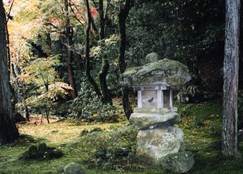 �O��@�L����