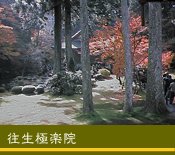 �����Ɋy�@