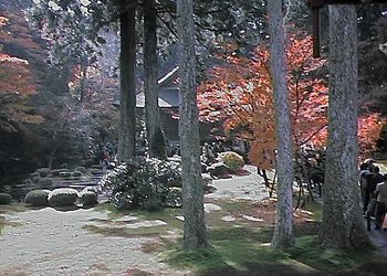 �����Ɋy�@