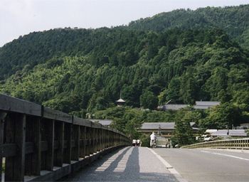 �n������n��